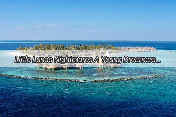 Little Lunas Nightmares A Young Dreamers Brave Battle with the Dark